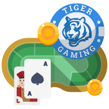 Tiger Gaming Review
