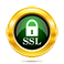 Secure Socket Layer